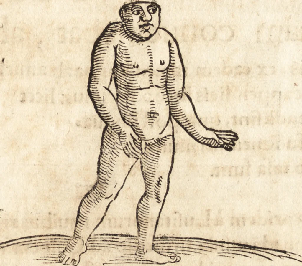 An illustration from Prodigiorvm ac ostentorvm chronicon : quae praeter naturae ordinem, motum, et operationem, et in svperioribus & his inferioribus mundi regionibus, ab exordio mundi usque ad haec nostra tempora, acciderunt ..., 1557, leaf 674