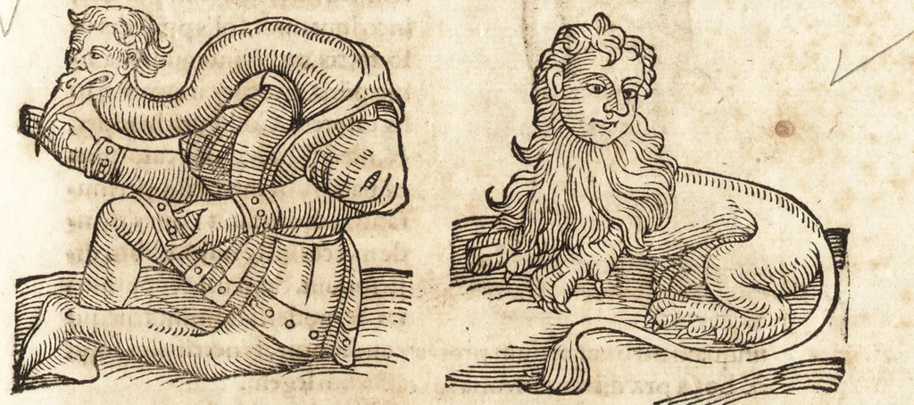 An illustration from Prodigiorvm ac ostentorvm chronicon : quae praeter naturae ordinem, motum, et operationem, et in svperioribus & his inferioribus mundi regionibus, ab exordio mundi usque ad haec nostra tempora, acciderunt ..., 1557, leaf 680
