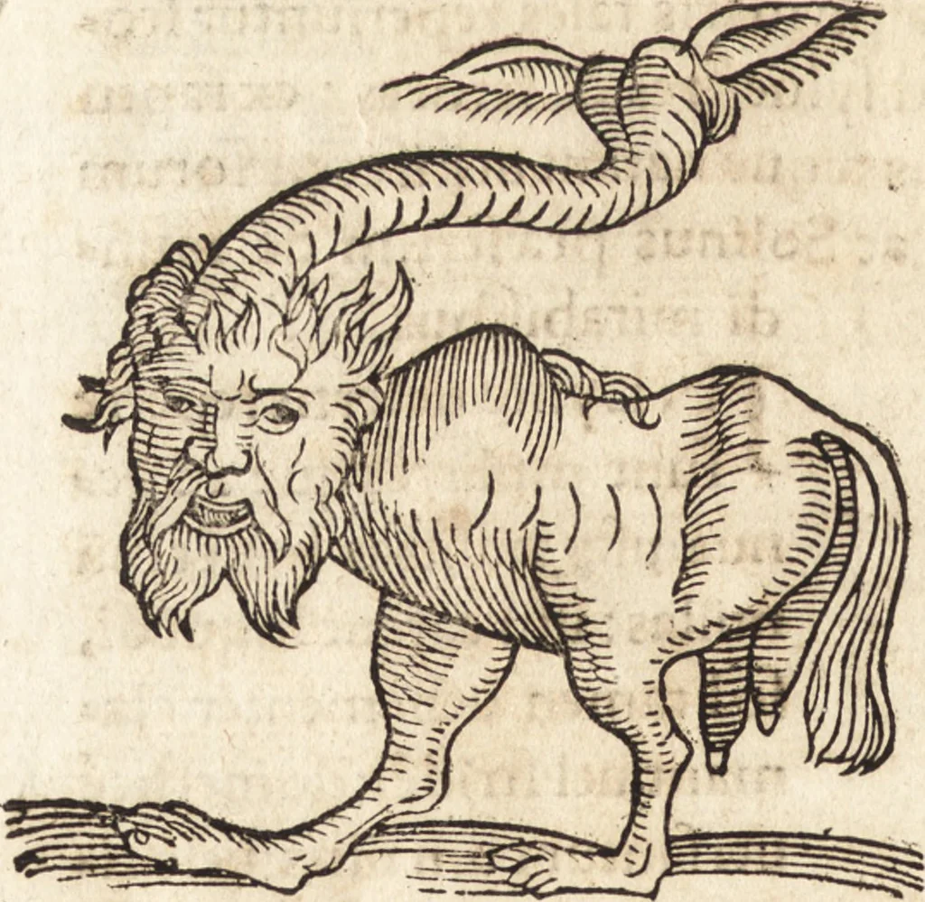An illustration from Prodigiorvm ac ostentorvm chronicon : quae praeter naturae ordinem, motum, et operationem, et in svperioribus & his inferioribus mundi regionibus, ab exordio mundi usque ad haec nostra tempora, acciderunt ..., 1557, leaf 681