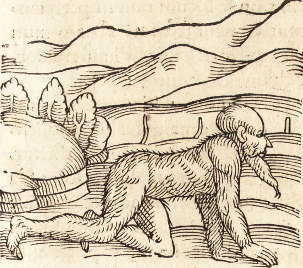 An illustration from Prodigiorvm ac ostentorvm chronicon : quae praeter naturae ordinem, motum, et operationem, et in svperioribus & his inferioribus mundi regionibus, ab exordio mundi usque ad haec nostra tempora, acciderunt ..., 1557, leaf 72