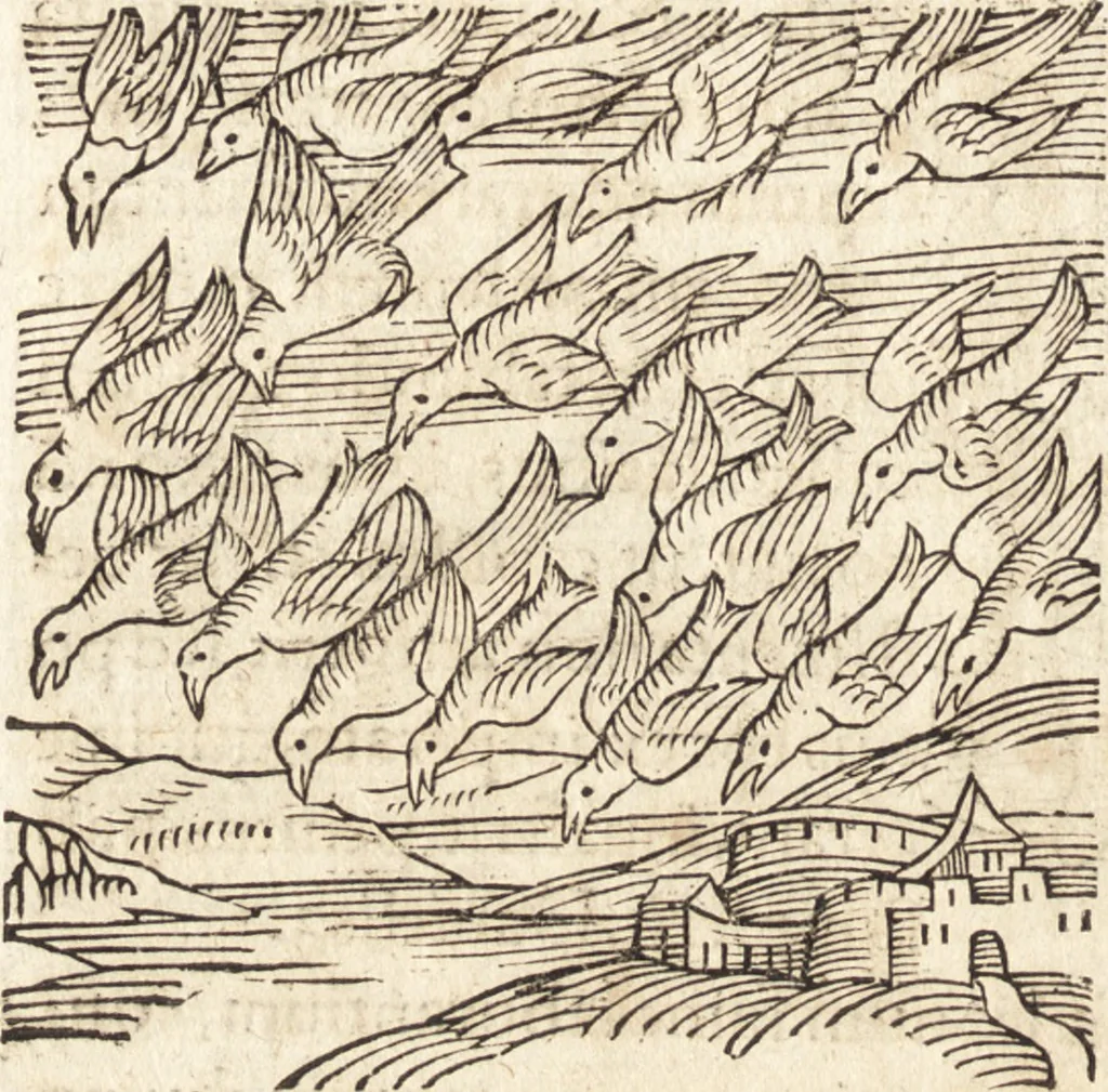An illustration from Prodigiorvm ac ostentorvm chronicon : quae praeter naturae ordinem, motum, et operationem, et in svperioribus & his inferioribus mundi regionibus, ab exordio mundi usque ad haec nostra tempora, acciderunt ..., 1557, leaf 73