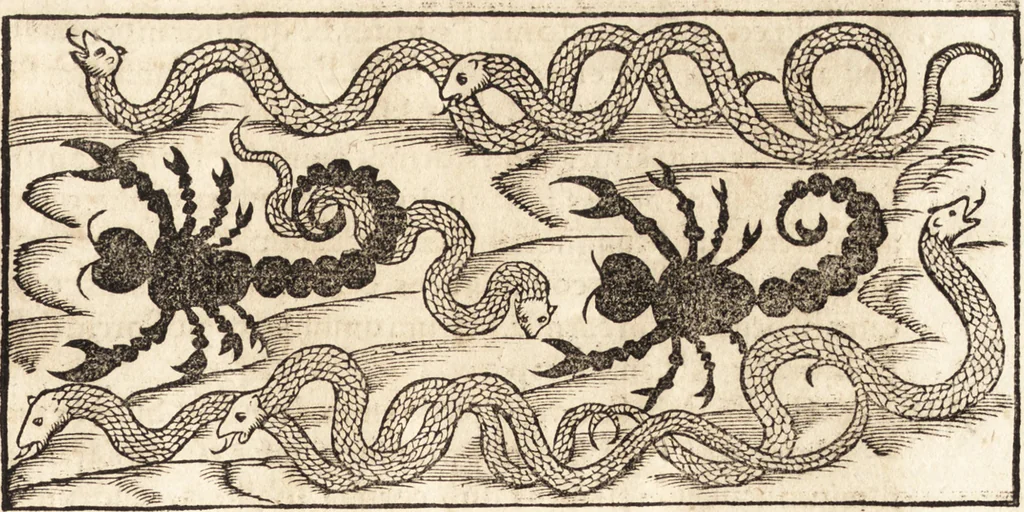An illustration from Prodigiorvm ac ostentorvm chronicon : quae praeter naturae ordinem, motum, et operationem, et in svperioribus & his inferioribus mundi regionibus, ab exordio mundi usque ad haec nostra tempora, acciderunt ..., 1557, leaf 76