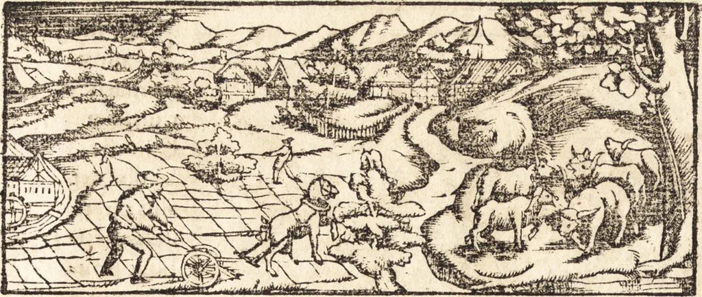 An illustration from Prodigiorvm ac ostentorvm chronicon : quae praeter naturae ordinem, motum, et operationem, et in svperioribus & his inferioribus mundi regionibus, ab exordio mundi usque ad haec nostra tempora, acciderunt ..., 1557, leaf 79