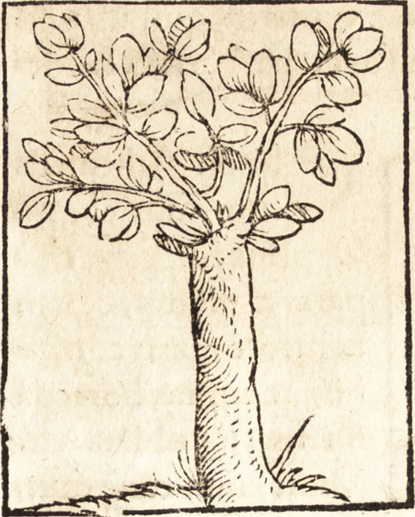 An illustration from Prodigiorvm ac ostentorvm chronicon : quae praeter naturae ordinem, motum, et operationem, et in svperioribus & his inferioribus mundi regionibus, ab exordio mundi usque ad haec nostra tempora, acciderunt ..., 1557, leaf 82