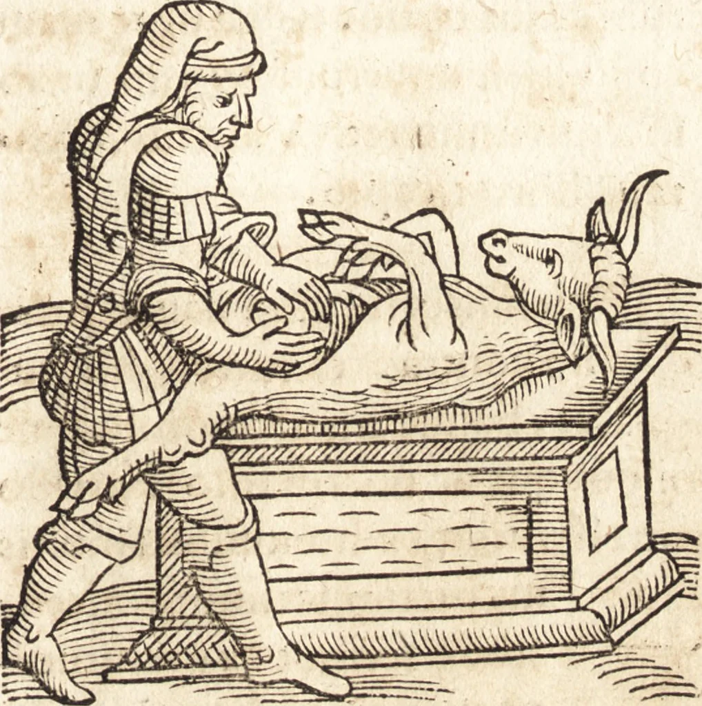 An illustration from Prodigiorvm ac ostentorvm chronicon : quae praeter naturae ordinem, motum, et operationem, et in svperioribus & his inferioribus mundi regionibus, ab exordio mundi usque ad haec nostra tempora, acciderunt ..., 1557, leaf 84