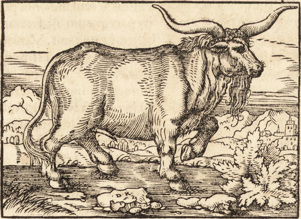 An illustration from Prodigiorvm ac ostentorvm chronicon : quae praeter naturae ordinem, motum, et operationem, et in svperioribus & his inferioribus mundi regionibus, ab exordio mundi usque ad haec nostra tempora, acciderunt ..., 1557, leaf 87