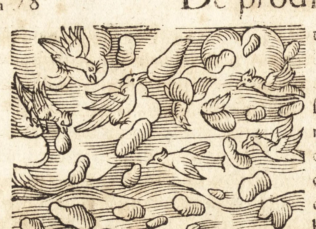 An illustration from Prodigiorvm ac ostentorvm chronicon : quae praeter naturae ordinem, motum, et operationem, et in svperioribus & his inferioribus mundi regionibus, ab exordio mundi usque ad haec nostra tempora, acciderunt ..., 1557, leaf 89