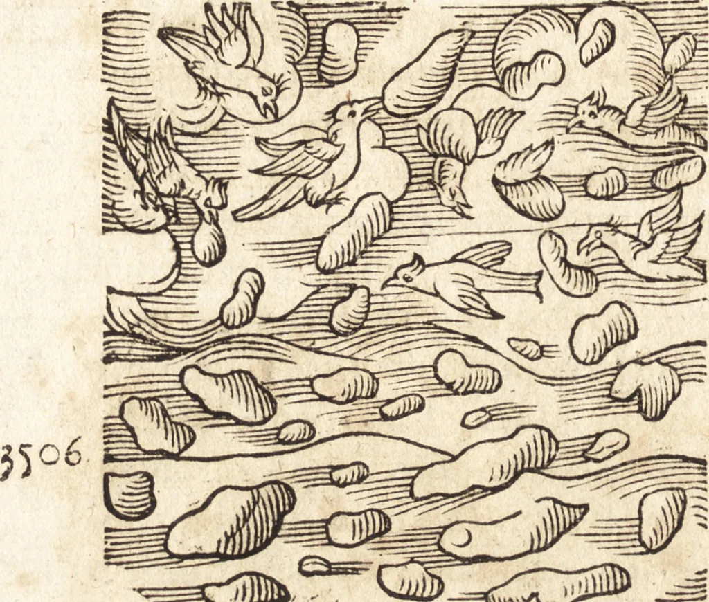 An illustration from Prodigiorvm ac ostentorvm chronicon : quae praeter naturae ordinem, motum, et operationem, et in svperioribus & his inferioribus mundi regionibus, ab exordio mundi usque ad haec nostra tempora, acciderunt ..., 1557, leaf 89