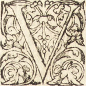 An illustration from Pseudo-Isidorus et Turrianus vapulantes, seu, Editio et censura noua epistolarum omnium : quas piissimis vrbis Romae praesulibus a B. Clemente ad Siricium, &c. nefando ausu, infelici euentu, Isidorus cognomento Mercator supposuit, Franciscus Turrianus Iesuita, aduersus Magdeburgensium elegchois, aculeato stylo defendere conatus est, 1628, leaf 195