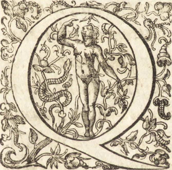 An illustration from Pseudo-Isidorus et Turrianus vapulantes, seu, Editio et censura noua epistolarum omnium : quas piissimis vrbis Romae praesulibus a B. Clemente ad Siricium, &c. nefando ausu, infelici euentu, Isidorus cognomento Mercator supposuit, Franciscus Turrianus Iesuita, aduersus Magdeburgensium elegchois, aculeato stylo defendere conatus est, 1628, leaf 6