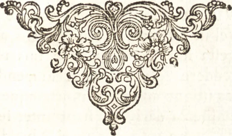 An illustration from Q. Curtius Rufus De rebus gestis Alexandri Magni : cum commentariis Raderi, Bongarsii, Popmae, Salmaaii, Gronovii, Loccenii & Freinshemii : hujusque & vetustioribus supplementis, nec non locorum difficiliorum interpretatione, & indice philologico locupletissimo rerum & verborum : accedunt figurae aeneae ad historiam Alexandri Magni apud curtium illustrandam necessariae, 1696, leaf 324