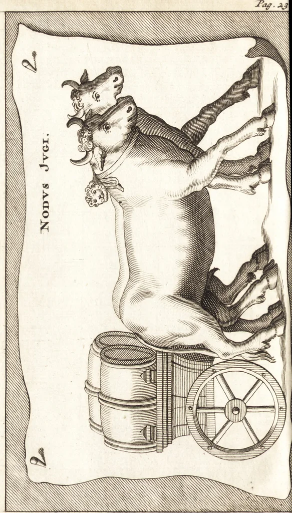 An illustration from Q. Curtius Rufus De rebus gestis Alexandri Magni : cum commentariis Raderi, Bongarsii, Popmae, Salmaaii, Gronovii, Loccenii & Freinshemii : hujusque & vetustioribus supplementis, nec non locorum difficiliorum interpretatione, & indice philologico locupletissimo rerum & verborum : accedunt figurae aeneae ad historiam Alexandri Magni apud curtium illustrandam necessariae, 1696, leaf 47
