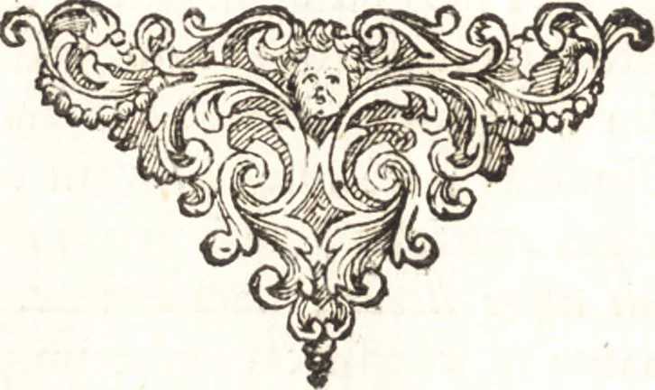 An illustration from Q. Curtius Rufus De rebus gestis Alexandri Magni : cum commentariis Raderi, Bongarsii, Popmae, Salmaaii, Gronovii, Loccenii & Freinshemii : hujusque & vetustioribus supplementis, nec non locorum difficiliorum interpretatione, & indice philologico locupletissimo rerum & verborum : accedunt figurae aeneae ad historiam Alexandri Magni apud curtium illustrandam necessariae, 1696, leaf 619