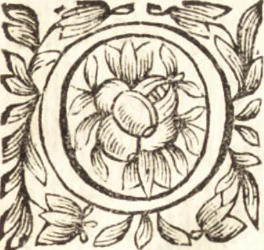 An illustration from Relation nouvelle d'un voyage de Constantinople : enrichie de plans levez par l'auteur sur les lieux, & des figures de tout ce qu'il y a de plus remarquable dans cette ville, 1680, leaf 10