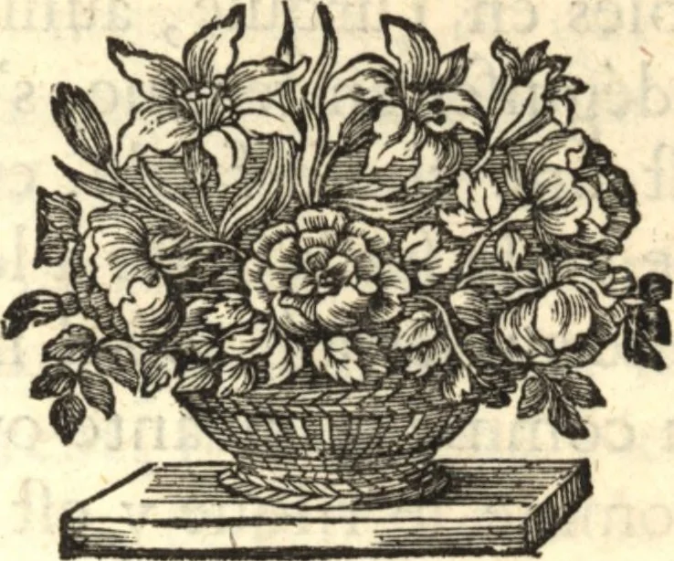 An illustration from Relation nouvelle d'un voyage de Constantinople : enrichie de plans levez par l'auteur sur les lieux, & des figures de tout ce qu'il y a de plus remarquable dans cette ville, 1680, leaf 119