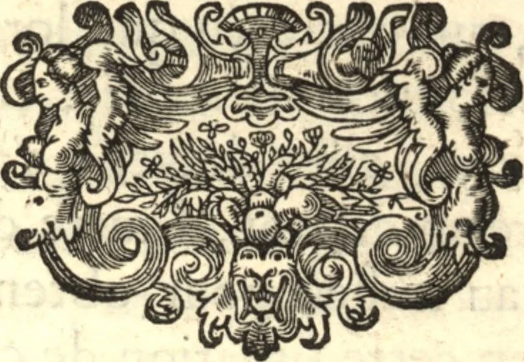 An illustration from Relation nouvelle d'un voyage de Constantinople : enrichie de plans levez par l'auteur sur les lieux, & des figures de tout ce qu'il y a de plus remarquable dans cette ville, 1680, leaf 135