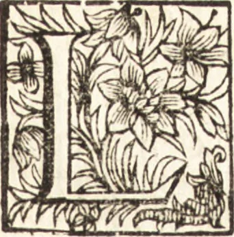 An illustration from Relation nouvelle d'un voyage de Constantinople : enrichie de plans levez par l'auteur sur les lieux, & des figures de tout ce qu'il y a de plus remarquable dans cette ville, 1680, leaf 16
