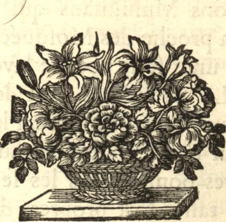 An illustration from Relation nouvelle d'un voyage de Constantinople : enrichie de plans levez par l'auteur sur les lieux, & des figures de tout ce qu'il y a de plus remarquable dans cette ville, 1680, leaf 177