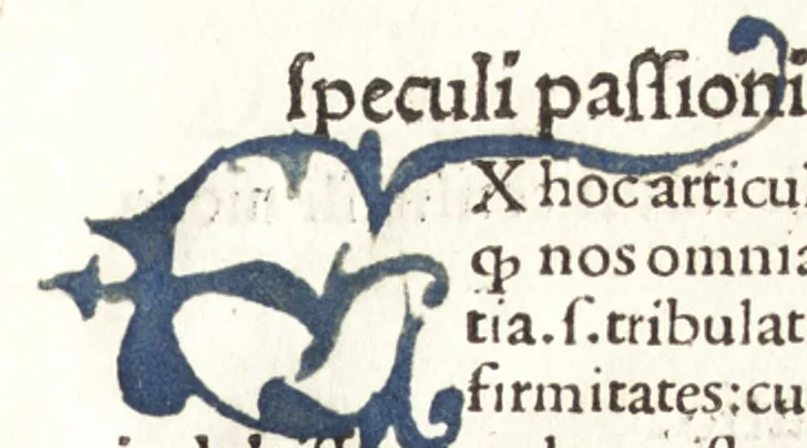 An illustration from Speculum passionis Domini Nostri Ihesu Christi : in quo relucẽt hec omnia singulariter vere & absolute, puta omnis p[er]fectio yerarchie, omniũ fidelium beatitudo, omnes virtutes, dona, fructus, et spiritualiũ bonorũ omnium efficacia, quod in fine prime partis huius speculi manifestissime cõprobat̃, 1507, leaf 112