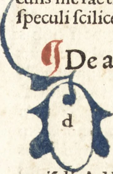 An illustration from Speculum passionis Domini Nostri Ihesu Christi : in quo relucẽt hec omnia singulariter vere & absolute, puta omnis p[er]fectio yerarchie, omniũ fidelium beatitudo, omnes virtutes, dona, fructus, et spiritualiũ bonorũ omnium efficacia, quod in fine prime partis huius speculi manifestissime cõprobat̃, 1507, leaf 128