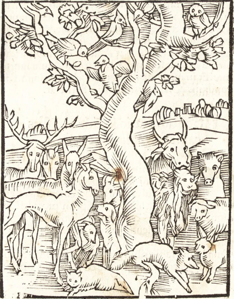 An illustration from Speculum passionis Domini Nostri Ihesu Christi : in quo relucẽt hec omnia singulariter vere & absolute, puta omnis p[er]fectio yerarchie, omniũ fidelium beatitudo, omnes virtutes, dona, fructus, et spiritualiũ bonorũ omnium efficacia, quod in fine prime partis huius speculi manifestissime cõprobat̃, 1507, leaf 171