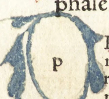An illustration from Speculum passionis Domini Nostri Ihesu Christi : in quo relucẽt hec omnia singulariter vere & absolute, puta omnis p[er]fectio yerarchie, omniũ fidelium beatitudo, omnes virtutes, dona, fructus, et spiritualiũ bonorũ omnium efficacia, quod in fine prime partis huius speculi manifestissime cõprobat̃, 1507, leaf 172