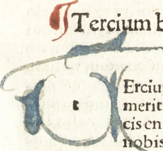An illustration from Speculum passionis Domini Nostri Ihesu Christi : in quo relucẽt hec omnia singulariter vere & absolute, puta omnis p[er]fectio yerarchie, omniũ fidelium beatitudo, omnes virtutes, dona, fructus, et spiritualiũ bonorũ omnium efficacia, quod in fine prime partis huius speculi manifestissime cõprobat̃, 1507, leaf 178