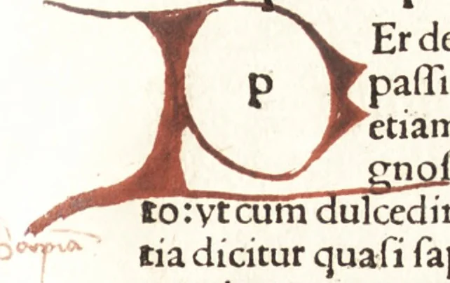 An illustration from Speculum passionis Domini Nostri Ihesu Christi : in quo relucẽt hec omnia singulariter vere & absolute, puta omnis p[er]fectio yerarchie, omniũ fidelium beatitudo, omnes virtutes, dona, fructus, et spiritualiũ bonorũ omnium efficacia, quod in fine prime partis huius speculi manifestissime cõprobat̃, 1507, leaf 36