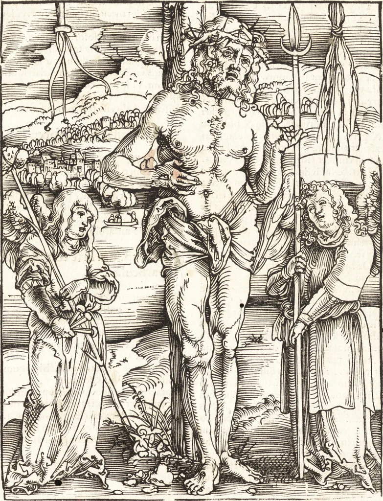 An illustration from Speculum passionis Domini Nostri Ihesu Christi : in quo relucẽt hec omnia singulariter vere & absolute, puta omnis p[er]fectio yerarchie, omniũ fidelium beatitudo, omnes virtutes, dona, fructus, et spiritualiũ bonorũ omnium efficacia, quod in fine prime partis huius speculi manifestissime cõprobat̃, 1507, leaf 9