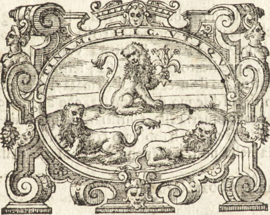An illustration from Successo de' Canonici Regolari Lateranensi nelle loro isole Tremitane : dette anticamente Diomedee, con l'armata del gran Turco Sultan Solimano del 1567 : colla brieue descrittione d'esse isole e fortezze nella guisa che hoggidì si trouano, 1606, leaf 4