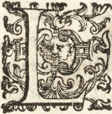 An illustration from Successo de' Canonici Regolari Lateranensi nelle loro isole Tremitane : dette anticamente Diomedee, con l'armata del gran Turco Sultan Solimano del 1567 : colla brieue descrittione d'esse isole e fortezze nella guisa che hoggidì si trouano, 1606, leaf 6