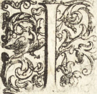 An illustration from Successo de' Canonici Regolari Lateranensi nelle loro isole Tremitane : dette anticamente Diomedee, con l'armata del gran Turco Sultan Solimano del 1567 : colla brieue descrittione d'esse isole e fortezze nella guisa che hoggidì si trouano, 1606, leaf 9