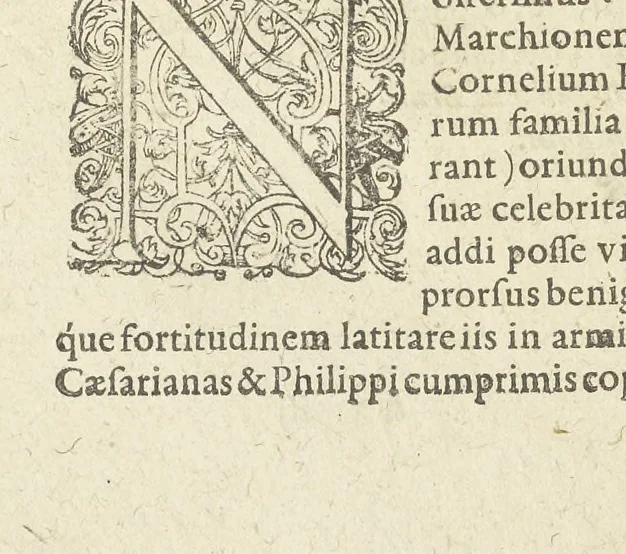 An illustration from Sylloge numismatum elegantiorum : quae diuersi impp., reges, principes, comites, respublicae diuersas ob causas ab anno 1500 ad annum usq[ue] 1600 cudi fecerunt, 1620, leaf 215