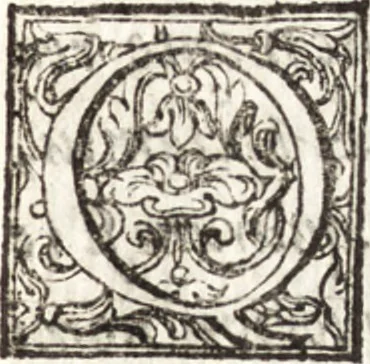 An illustration from Thesavrvs artificiosae memoriae : concionatoribus, philosophis, medicis, iuristis, oratoribus, procuratoribus, caeterisq; bonarum litterarum amatoribus, negociatoribus insuper alijsq; similibus, tenacem ac firmam rerum memoriam cupientibus, perutilis : ac omnes sui amatores & possessores valde locupletans, insimulq; decorant : cum rerum c[ae]lestium atq; terrestrium tenax, ac tutum scrinium esse possit, 1579, leaf 154