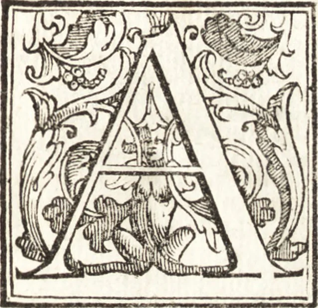 An illustration from Thesavrvs artificiosae memoriae : concionatoribus, philosophis, medicis, iuristis, oratoribus, procuratoribus, caeterisq; bonarum litterarum amatoribus, negociatoribus insuper alijsq; similibus, tenacem ac firmam rerum memoriam cupientibus, perutilis : ac omnes sui amatores & possessores valde locupletans, insimulq; decorant : cum rerum c[ae]lestium atq; terrestrium tenax, ac tutum scrinium esse possit, 1579, leaf 16