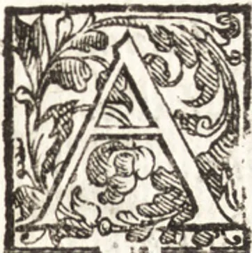 An illustration from Thesavrvs artificiosae memoriae : concionatoribus, philosophis, medicis, iuristis, oratoribus, procuratoribus, caeterisq; bonarum litterarum amatoribus, negociatoribus insuper alijsq; similibus, tenacem ac firmam rerum memoriam cupientibus, perutilis : ac omnes sui amatores & possessores valde locupletans, insimulq; decorant : cum rerum c[ae]lestium atq; terrestrium tenax, ac tutum scrinium esse possit, 1579, leaf 162