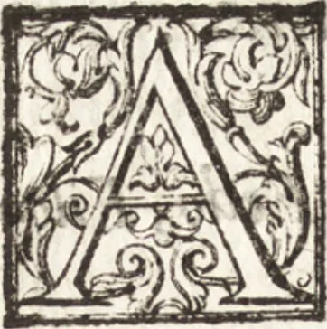 An illustration from Thesavrvs artificiosae memoriae : concionatoribus, philosophis, medicis, iuristis, oratoribus, procuratoribus, caeterisq; bonarum litterarum amatoribus, negociatoribus insuper alijsq; similibus, tenacem ac firmam rerum memoriam cupientibus, perutilis : ac omnes sui amatores & possessores valde locupletans, insimulq; decorant : cum rerum c[ae]lestium atq; terrestrium tenax, ac tutum scrinium esse possit, 1579, leaf 163