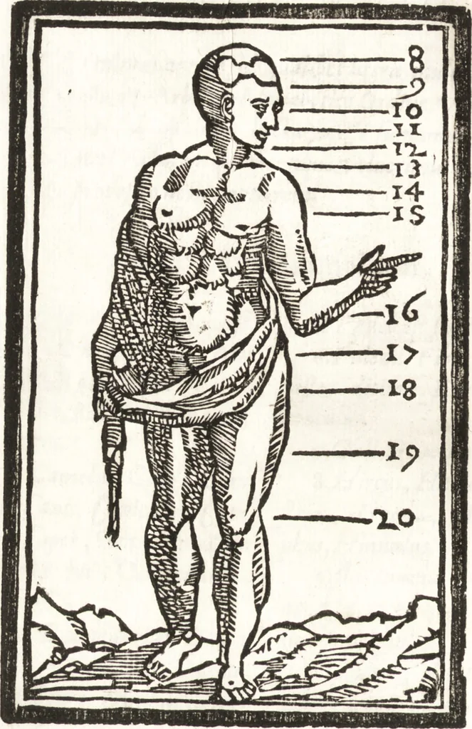 An illustration from Thesavrvs artificiosae memoriae : concionatoribus, philosophis, medicis, iuristis, oratoribus, procuratoribus, caeterisq; bonarum litterarum amatoribus, negociatoribus insuper alijsq; similibus, tenacem ac firmam rerum memoriam cupientibus, perutilis : ac omnes sui amatores & possessores valde locupletans, insimulq; decorant : cum rerum c[ae]lestium atq; terrestrium tenax, ac tutum scrinium esse possit, 1579, leaf 173