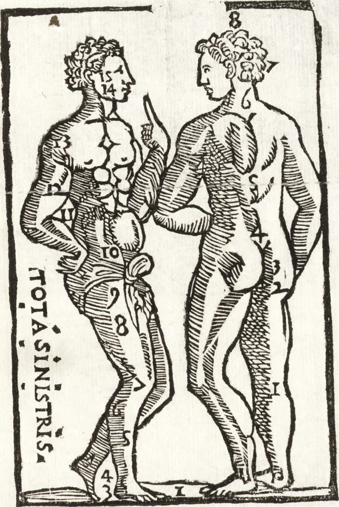 An illustration from Thesavrvs artificiosae memoriae : concionatoribus, philosophis, medicis, iuristis, oratoribus, procuratoribus, caeterisq; bonarum litterarum amatoribus, negociatoribus insuper alijsq; similibus, tenacem ac firmam rerum memoriam cupientibus, perutilis : ac omnes sui amatores & possessores valde locupletans, insimulq; decorant : cum rerum c[ae]lestium atq; terrestrium tenax, ac tutum scrinium esse possit, 1579, leaf 174