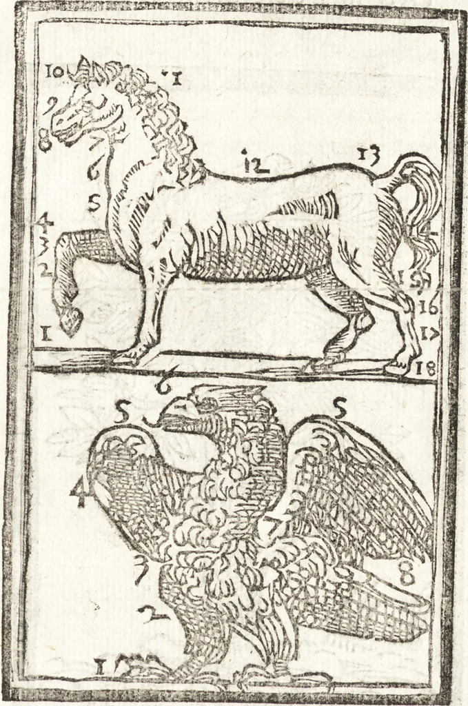 An illustration from Thesavrvs artificiosae memoriae : concionatoribus, philosophis, medicis, iuristis, oratoribus, procuratoribus, caeterisq; bonarum litterarum amatoribus, negociatoribus insuper alijsq; similibus, tenacem ac firmam rerum memoriam cupientibus, perutilis : ac omnes sui amatores & possessores valde locupletans, insimulq; decorant : cum rerum c[ae]lestium atq; terrestrium tenax, ac tutum scrinium esse possit, 1579, leaf 178