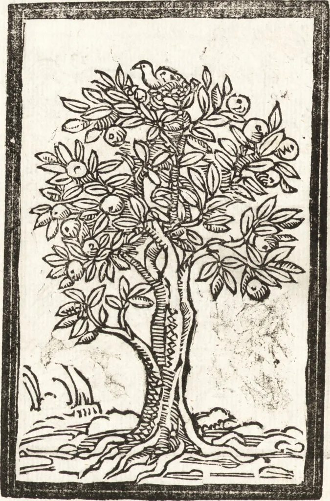 An illustration from Thesavrvs artificiosae memoriae : concionatoribus, philosophis, medicis, iuristis, oratoribus, procuratoribus, caeterisq; bonarum litterarum amatoribus, negociatoribus insuper alijsq; similibus, tenacem ac firmam rerum memoriam cupientibus, perutilis : ac omnes sui amatores & possessores valde locupletans, insimulq; decorant : cum rerum c[ae]lestium atq; terrestrium tenax, ac tutum scrinium esse possit, 1579, leaf 179