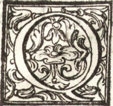 An illustration from Thesavrvs artificiosae memoriae : concionatoribus, philosophis, medicis, iuristis, oratoribus, procuratoribus, caeterisq; bonarum litterarum amatoribus, negociatoribus insuper alijsq; similibus, tenacem ac firmam rerum memoriam cupientibus, perutilis : ac omnes sui amatores & possessores valde locupletans, insimulq; decorant : cum rerum c[ae]lestium atq; terrestrium tenax, ac tutum scrinium esse possit, 1579, leaf 18