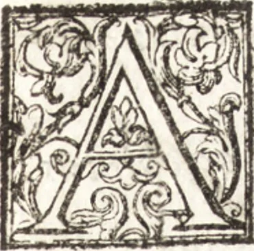 An illustration from Thesavrvs artificiosae memoriae : concionatoribus, philosophis, medicis, iuristis, oratoribus, procuratoribus, caeterisq; bonarum litterarum amatoribus, negociatoribus insuper alijsq; similibus, tenacem ac firmam rerum memoriam cupientibus, perutilis : ac omnes sui amatores & possessores valde locupletans, insimulq; decorant : cum rerum c[ae]lestium atq; terrestrium tenax, ac tutum scrinium esse possit, 1579, leaf 180