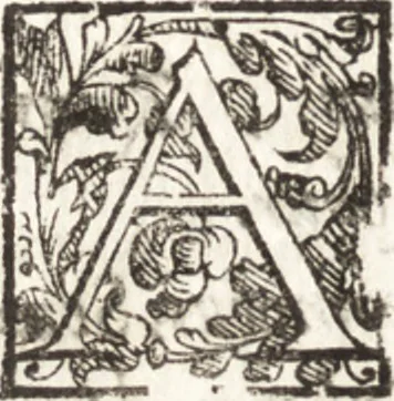 An illustration from Thesavrvs artificiosae memoriae : concionatoribus, philosophis, medicis, iuristis, oratoribus, procuratoribus, caeterisq; bonarum litterarum amatoribus, negociatoribus insuper alijsq; similibus, tenacem ac firmam rerum memoriam cupientibus, perutilis : ac omnes sui amatores & possessores valde locupletans, insimulq; decorant : cum rerum c[ae]lestium atq; terrestrium tenax, ac tutum scrinium esse possit, 1579, leaf 181