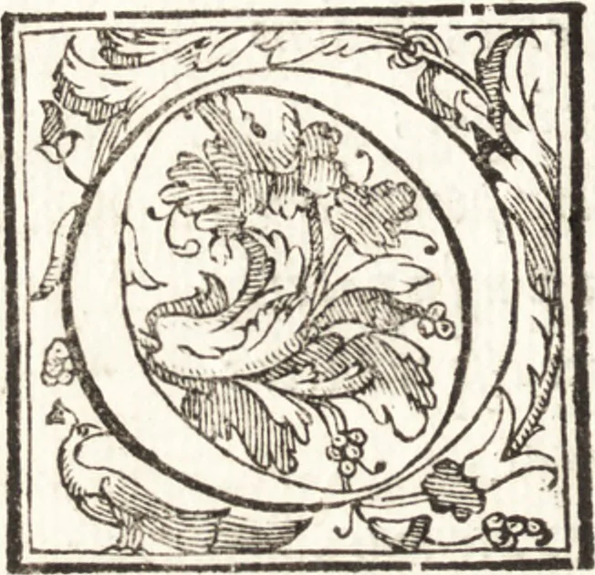 An illustration from Thesavrvs artificiosae memoriae : concionatoribus, philosophis, medicis, iuristis, oratoribus, procuratoribus, caeterisq; bonarum litterarum amatoribus, negociatoribus insuper alijsq; similibus, tenacem ac firmam rerum memoriam cupientibus, perutilis : ac omnes sui amatores & possessores valde locupletans, insimulq; decorant : cum rerum c[ae]lestium atq; terrestrium tenax, ac tutum scrinium esse possit, 1579, leaf 19
