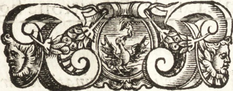 An illustration from Thesavrvs artificiosae memoriae : concionatoribus, philosophis, medicis, iuristis, oratoribus, procuratoribus, caeterisq; bonarum litterarum amatoribus, negociatoribus insuper alijsq; similibus, tenacem ac firmam rerum memoriam cupientibus, perutilis : ac omnes sui amatores & possessores valde locupletans, insimulq; decorant : cum rerum c[ae]lestium atq; terrestrium tenax, ac tutum scrinium esse possit, 1579, leaf 196