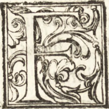 An illustration from Thesavrvs artificiosae memoriae : concionatoribus, philosophis, medicis, iuristis, oratoribus, procuratoribus, caeterisq; bonarum litterarum amatoribus, negociatoribus insuper alijsq; similibus, tenacem ac firmam rerum memoriam cupientibus, perutilis : ac omnes sui amatores & possessores valde locupletans, insimulq; decorant : cum rerum c[ae]lestium atq; terrestrium tenax, ac tutum scrinium esse possit, 1579, leaf 201