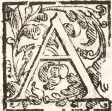 An illustration from Thesavrvs artificiosae memoriae : concionatoribus, philosophis, medicis, iuristis, oratoribus, procuratoribus, caeterisq; bonarum litterarum amatoribus, negociatoribus insuper alijsq; similibus, tenacem ac firmam rerum memoriam cupientibus, perutilis : ac omnes sui amatores & possessores valde locupletans, insimulq; decorant : cum rerum c[ae]lestium atq; terrestrium tenax, ac tutum scrinium esse possit, 1579, leaf 203