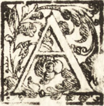 An illustration from Thesavrvs artificiosae memoriae : concionatoribus, philosophis, medicis, iuristis, oratoribus, procuratoribus, caeterisq; bonarum litterarum amatoribus, negociatoribus insuper alijsq; similibus, tenacem ac firmam rerum memoriam cupientibus, perutilis : ac omnes sui amatores & possessores valde locupletans, insimulq; decorant : cum rerum c[ae]lestium atq; terrestrium tenax, ac tutum scrinium esse possit, 1579, leaf 210