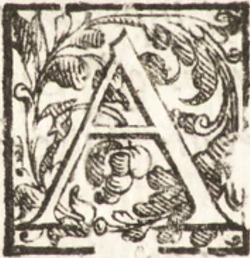 An illustration from Thesavrvs artificiosae memoriae : concionatoribus, philosophis, medicis, iuristis, oratoribus, procuratoribus, caeterisq; bonarum litterarum amatoribus, negociatoribus insuper alijsq; similibus, tenacem ac firmam rerum memoriam cupientibus, perutilis : ac omnes sui amatores & possessores valde locupletans, insimulq; decorant : cum rerum c[ae]lestium atq; terrestrium tenax, ac tutum scrinium esse possit, 1579, leaf 215